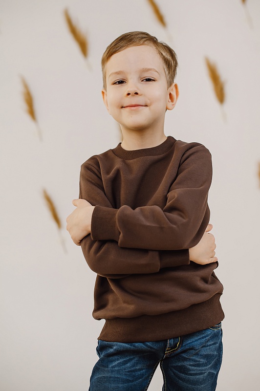 Джемпер. Футер с начёсом (80% хлопок, 20% полиэстер), Арт. ДФ3г