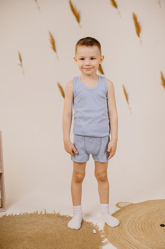 Трусы для мальчиков. Рибана (100% хлопок), Арт. ТМСРг_Серый