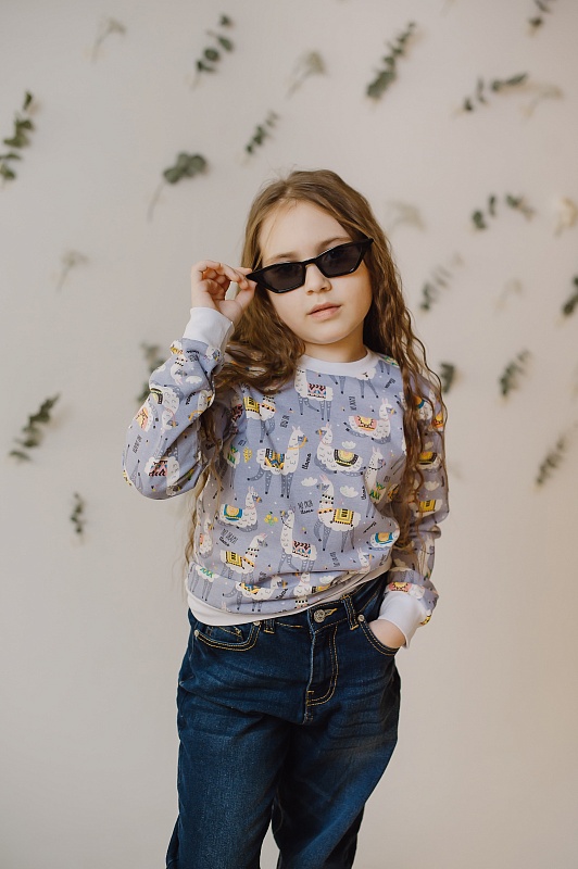 Джемпер. Футер с начёсом (100% хлопок), Арт. Д2Фр